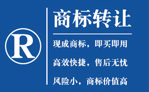 沙坡头商标转让流程与注意事项详解